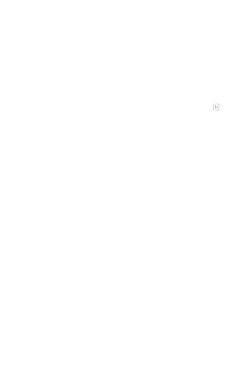 chips